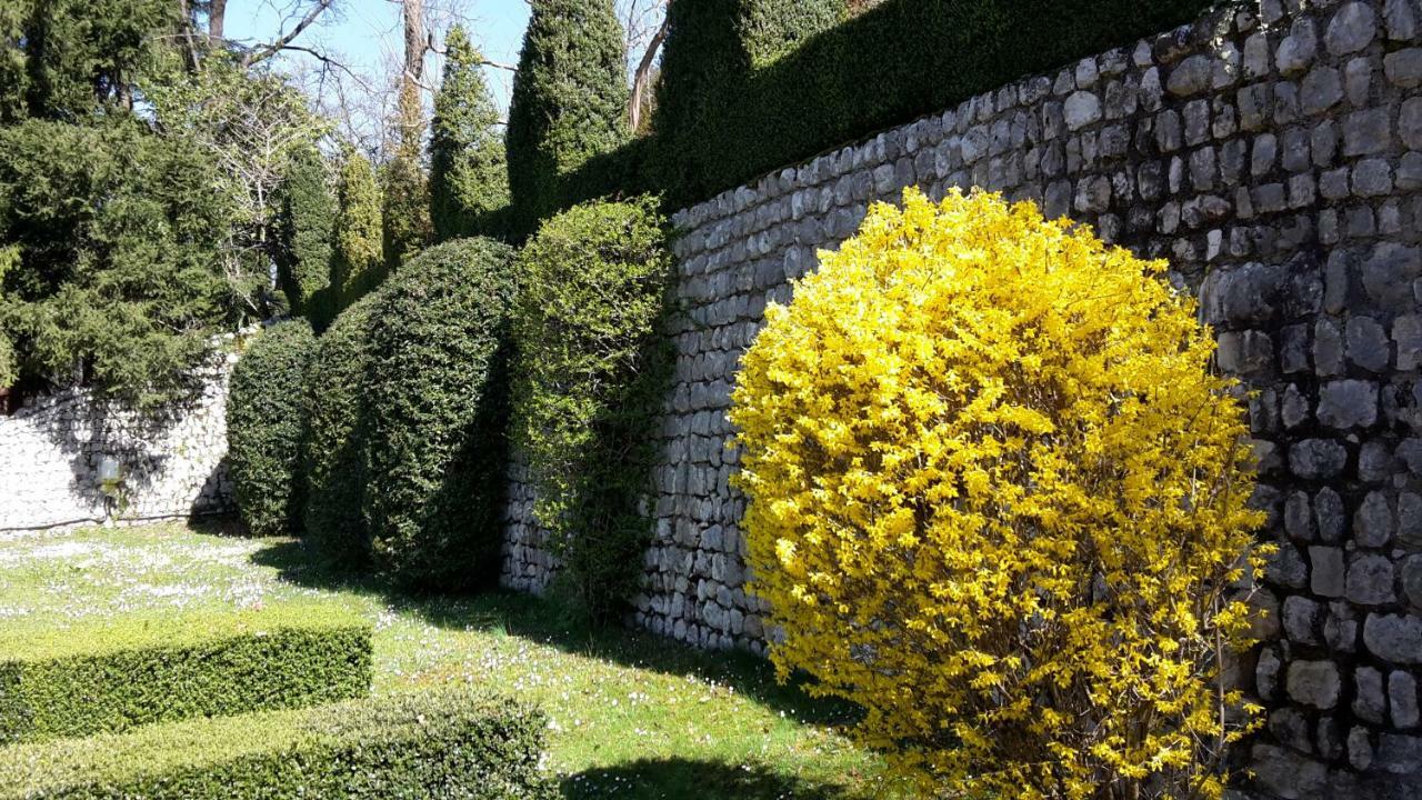 Palazzo Scolari Bed & Breakfast Polcenigo Exterior photo